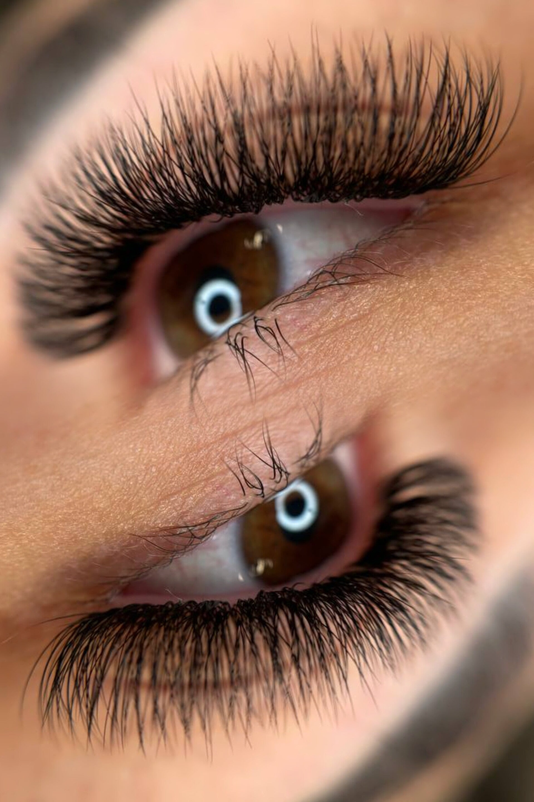 3D Fertigfächer auf Klebestreifen | 1000 fertige Wimpernfächer