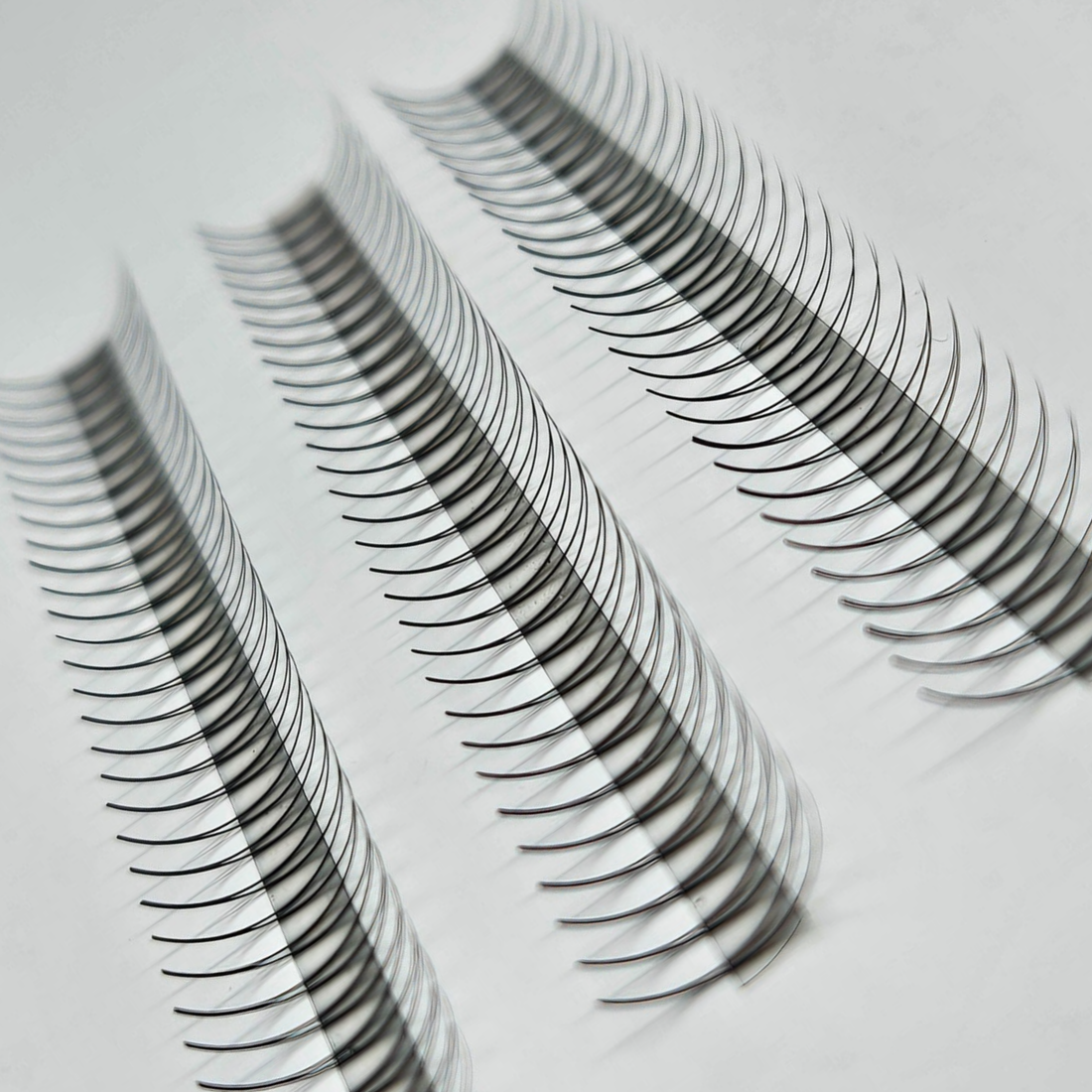 2D Fertigfächer auf Klebestreifen | 1000 fertige Wimpernfächer