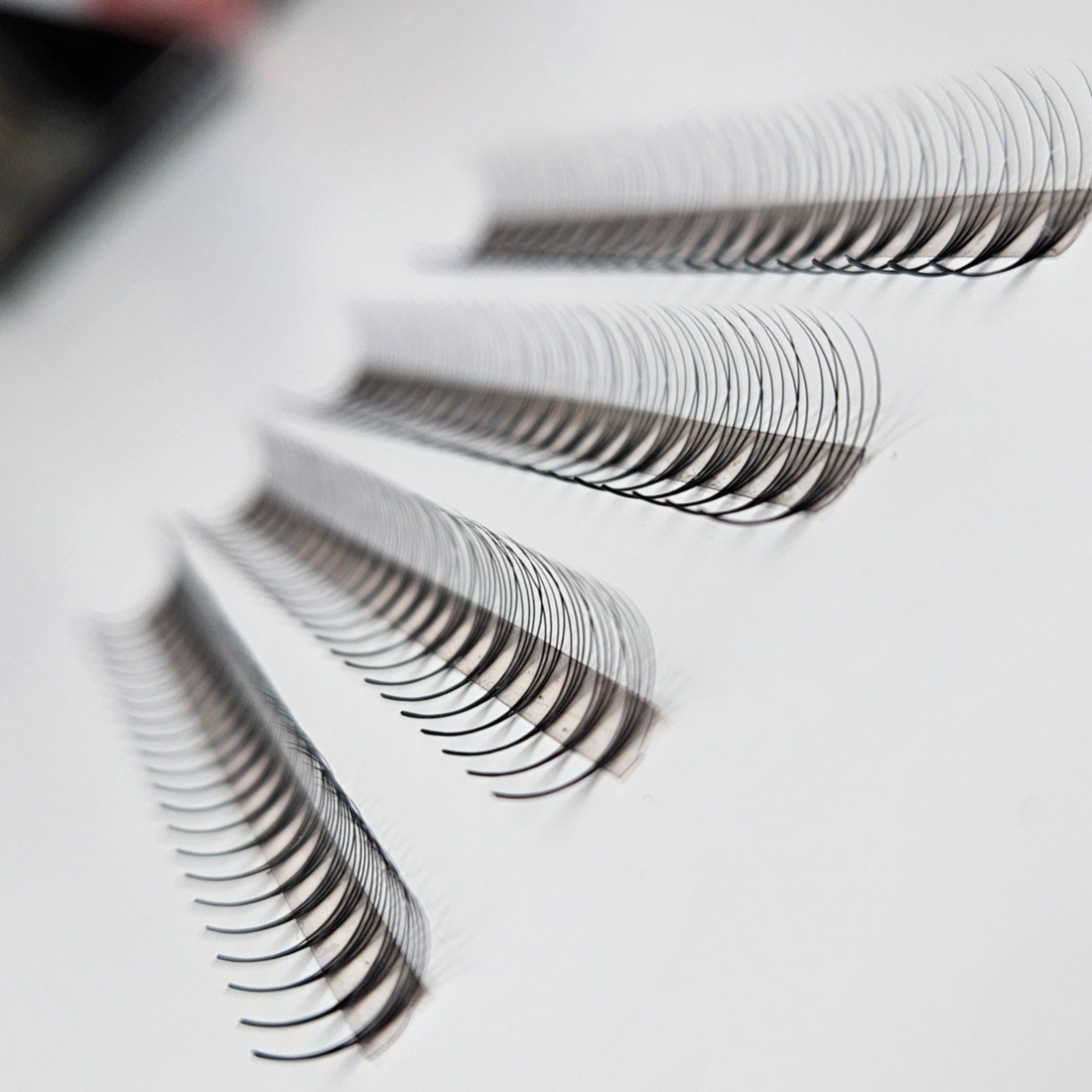 4D Fertigfächer auf Klebestreifen | 1000 fertige Wimpernfächer